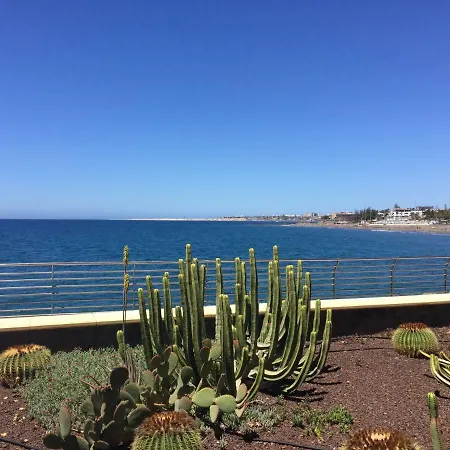 Apartment Los Acebuches San Agustin (Gran Canaria)