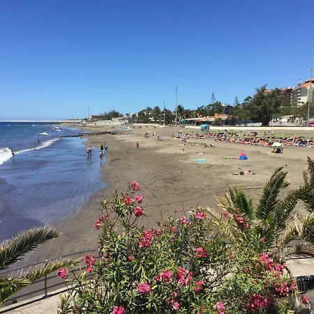 Los Acebuches Apartmán San Agustín